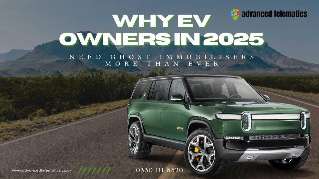 EV Owners in 2025