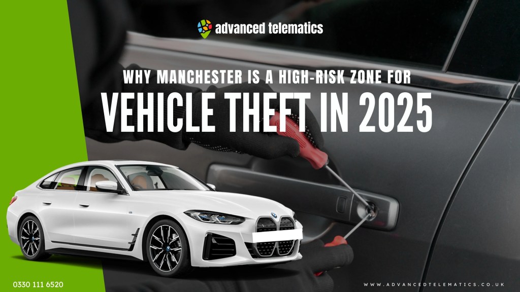 Vehicle Theft in 2025